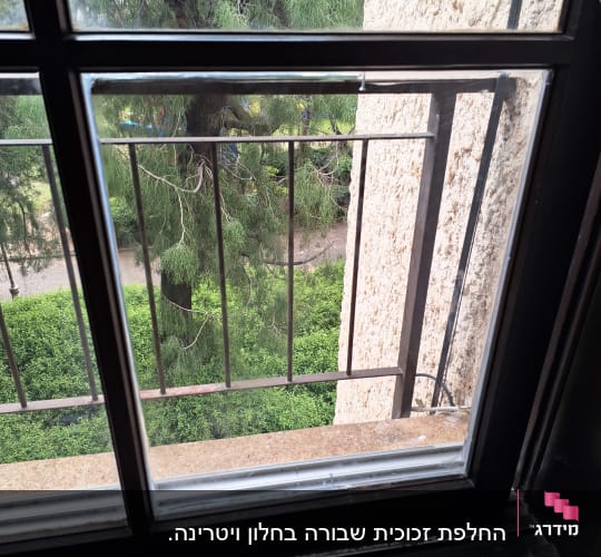 חלון עם תריסים פתוחים ונוף של עץ ירוק